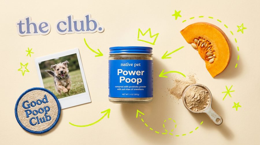 The Good Poop Club hero